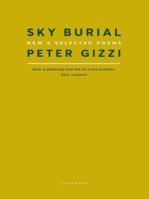 cover image of Sky Burial
